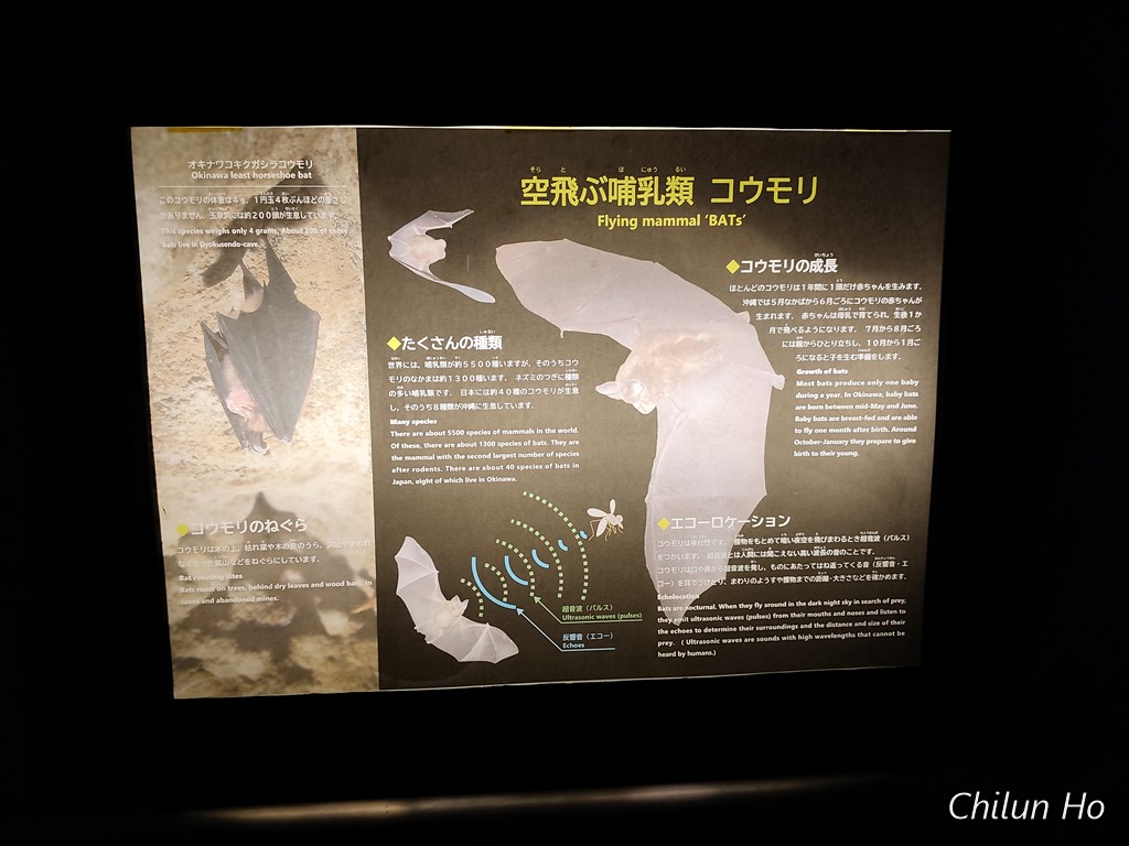 玉泉洞